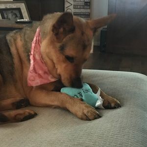 Meet your Posher, Jackie